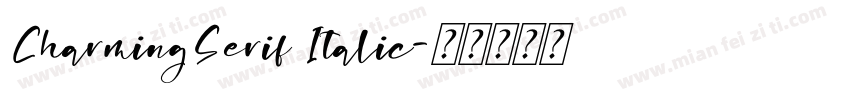 CharmingSerif Italic字体转换